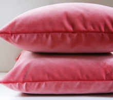 Load image into Gallery viewer, TULIP VELVET PILLOW COVER