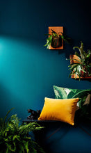 Load image into Gallery viewer, Yellow Velvet Pillow Cover, 20x20 inches, designer quality, saffron yellow, heavy weight velvet, ready to ship