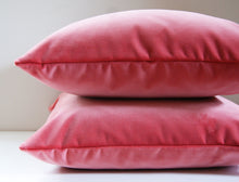 Load image into Gallery viewer, Coral Velvet Pillow Cover, 20X20 inches, decorative pillow cover, Studio Tullia, ready to ship