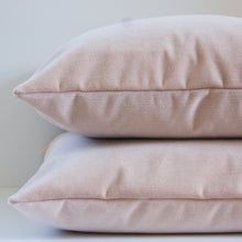 Load image into Gallery viewer, ROSEWATER VELVET PILLOW COVER
